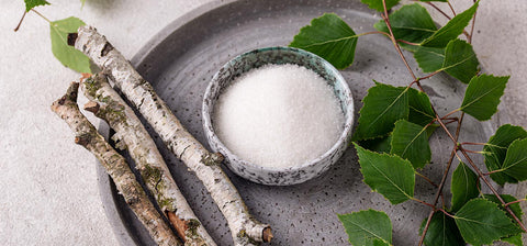 Birkenäste, -blätter und eine Schale Birkenzucker